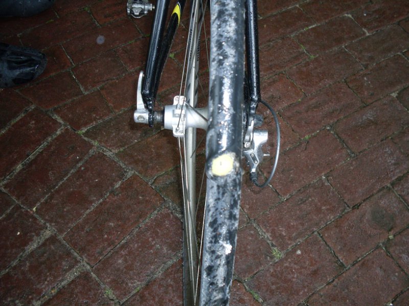RTF Bad Oldesloe Peter 496